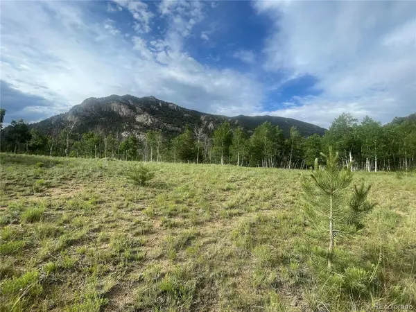 171 Emerald, Lake George, CO 80827