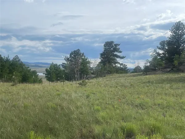 171 Emerald, Lake George, CO 80827