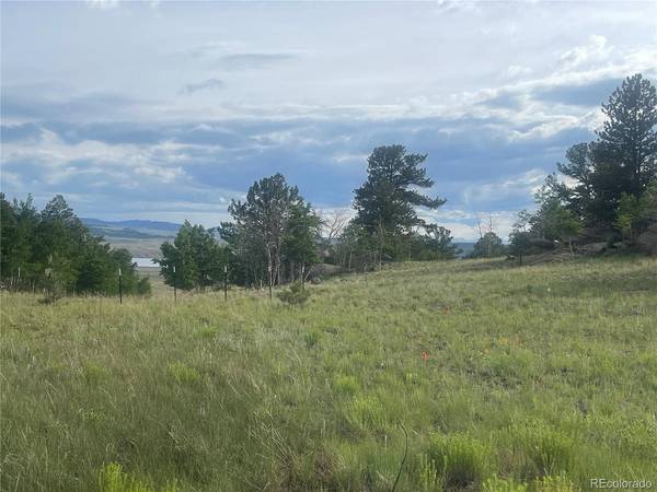 171 Emerald, Lake George, CO 80827