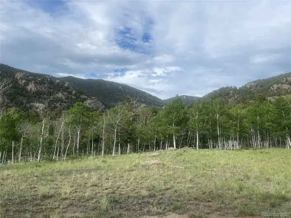 171 Emerald, Lake George, CO 80827