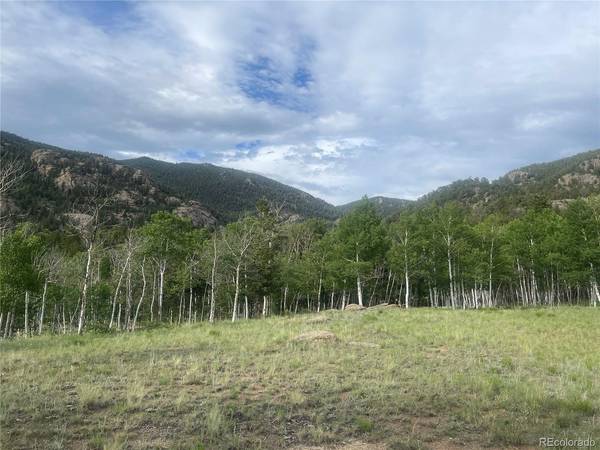171 Emerald, Lake George, CO 80827