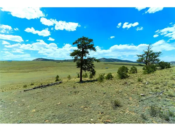 1408 Larimer, Hartsel, CO 80449