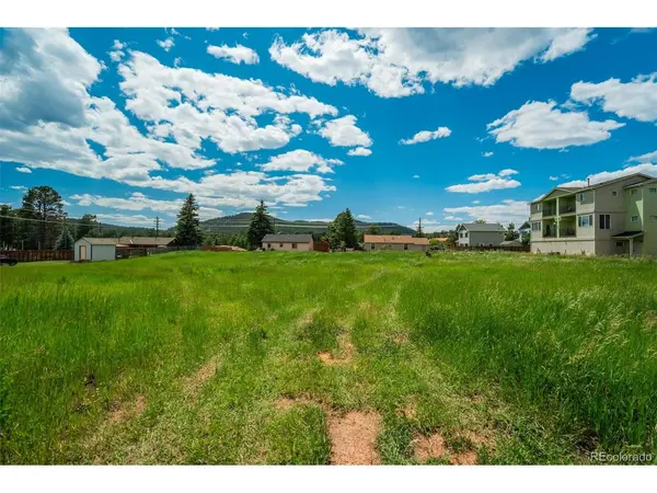 Baldwin, Woodland Park, CO 80863