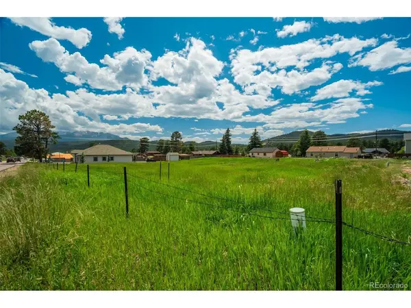 Baldwin, Woodland Park, CO 80863