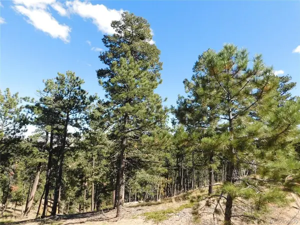 13886 Boulder, Larkspur, CO 80118