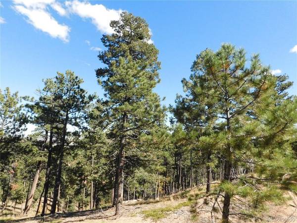 13886 Boulder, Larkspur, CO 80118