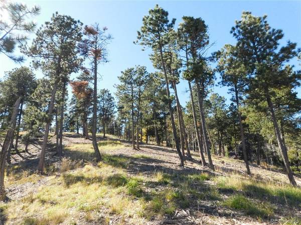 13886 Boulder, Larkspur, CO 80118