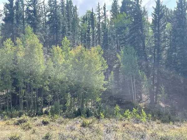 491 W Longbow, Como, CO 80432