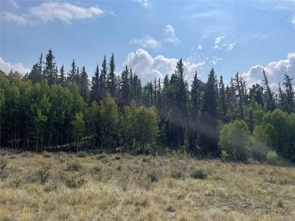 491 W Longbow, Como, CO 80432