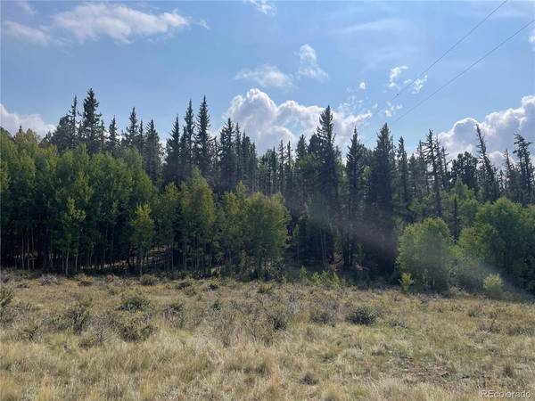 491 W Longbow, Como, CO 80432