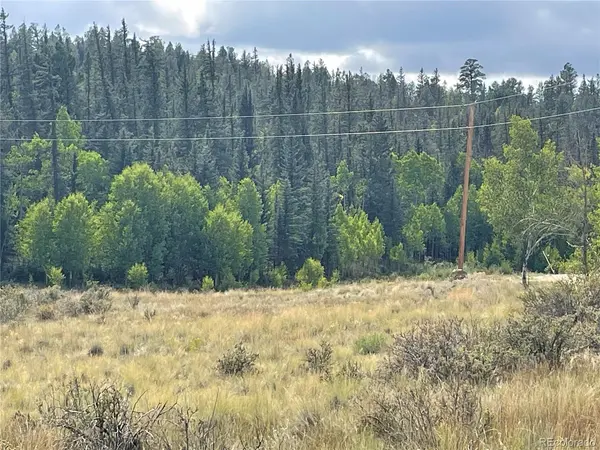 491 W Longbow, Como, CO 80432