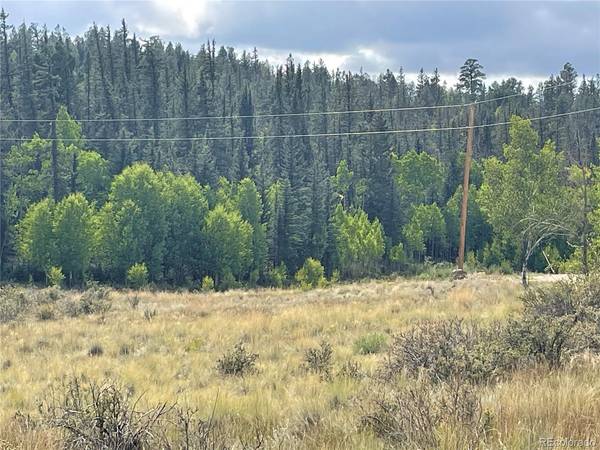 491 W Longbow, Como, CO 80432