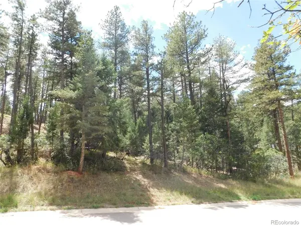 8139 Bannock, Larkspur, CO 80118