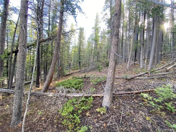 2687 Purnell, Fort Garland, CO 81133