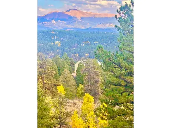 361 Crystal Peak, Florissant, CO 80816
