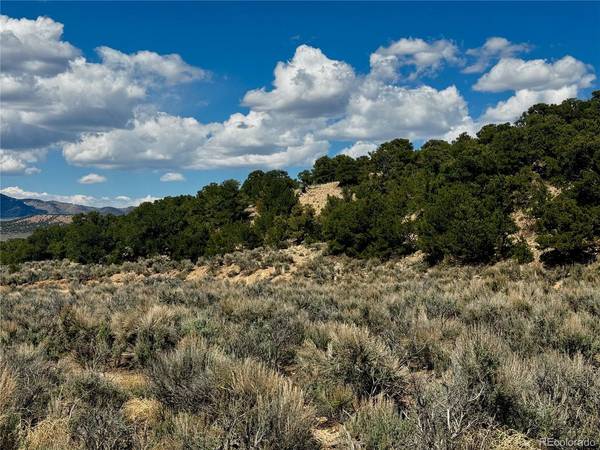 3817 Fontaine, Fort Garland, CO 81133
