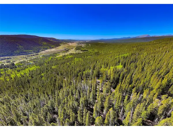 715 Lewsader, Alma, CO 80420
