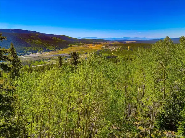 715 Lewsader, Alma, CO 80420