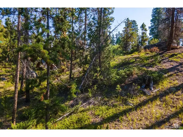 Address not disclosed, Grand Lake, CO 80447