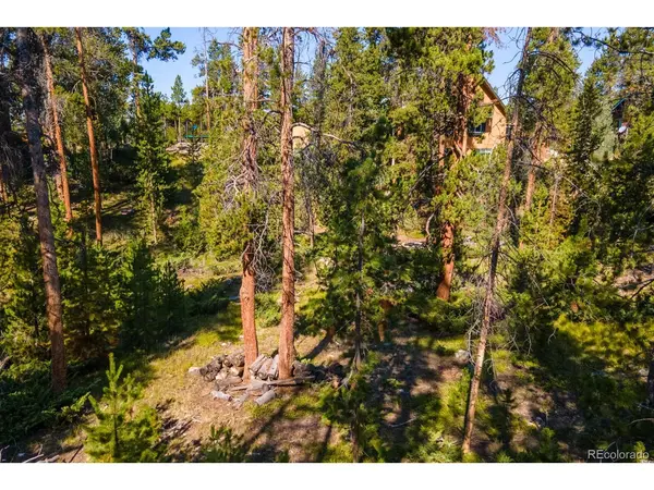 Address not disclosed, Grand Lake, CO 80447