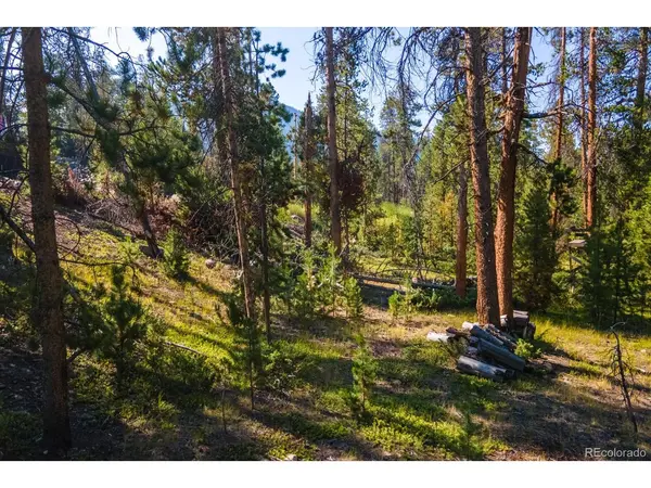 Address not disclosed, Grand Lake, CO 80447