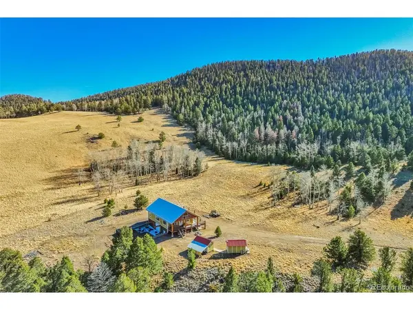 1440 N Range, Guffey, CO 80820