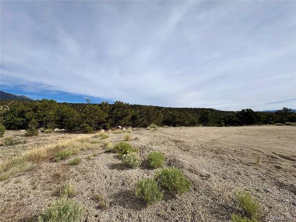 14973 Chalk Creek, Nathrop, CO 81236