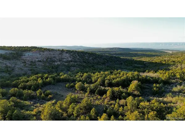 18975 Elk Reserve, Glade Park, CO 81523