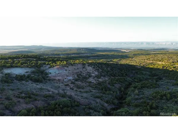 18975 Elk Reserve, Glade Park, CO 81523