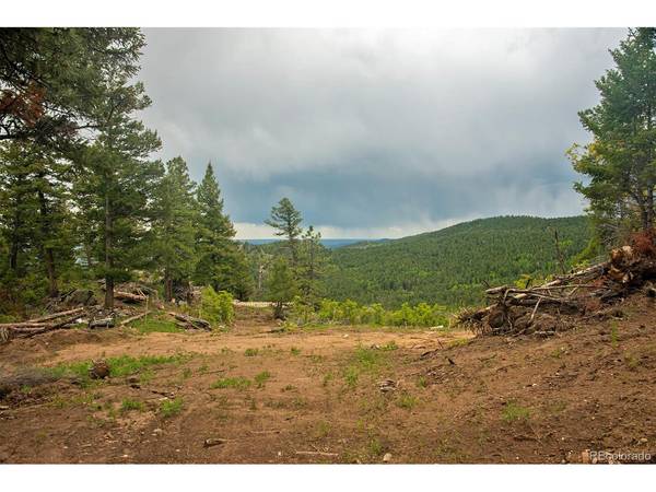 13864 N Trail, Littleton, CO 80127