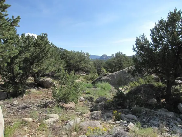 30036 Teal, Buena Vista, CO 81211