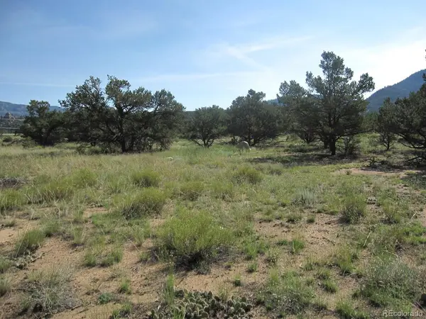 30036 Teal, Buena Vista, CO 81211