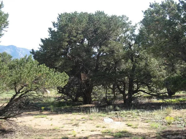 30036 Teal, Buena Vista, CO 81211