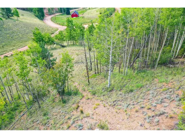 1300 Golden Cycle, Cripple Creek, CO 80813