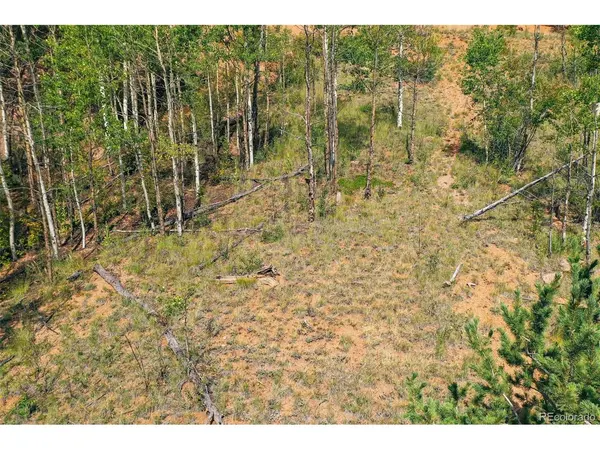 1300 Golden Cycle, Cripple Creek, CO 80813