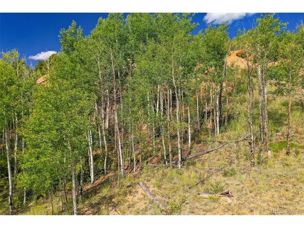 1300 Golden Cycle, Cripple Creek, CO 80813
