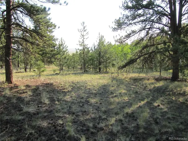 9736 Ranch, Hartsel, CO 80449
