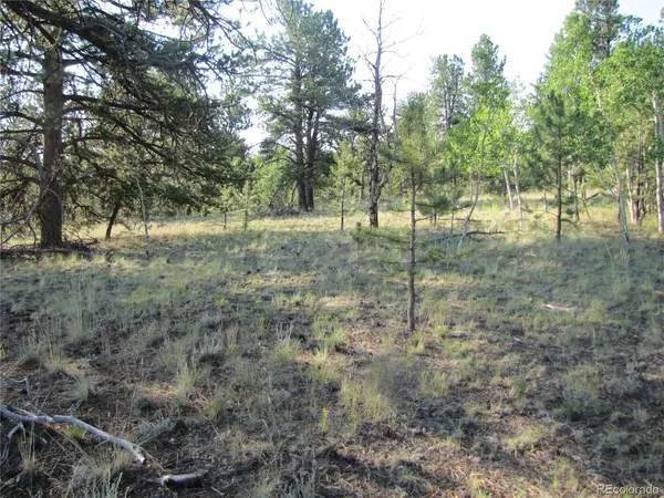 9736 Ranch, Hartsel, CO 80449