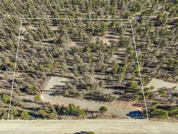 4538 Middle Fork, Fairplay, CO 80440