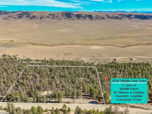 4538 Middle Fork, Fairplay, CO 80440