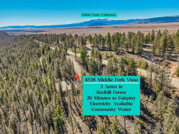 4538 Middle Fork, Fairplay, CO 80440