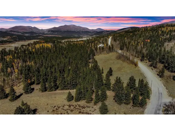 267 Platte River, Fairplay, CO 80440