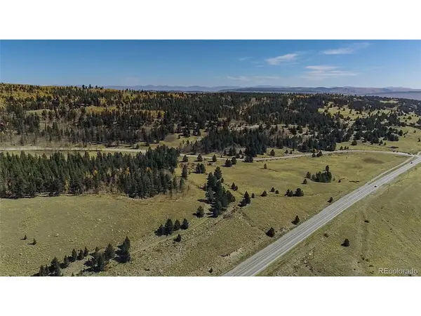 267 Platte River, Fairplay, CO 80440