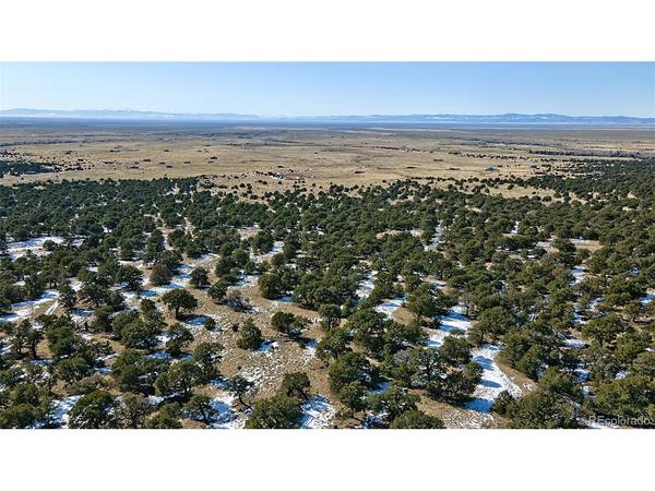 Naropa Tract, Crestone, CO 81131