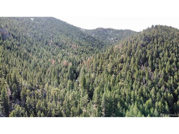 7893 Fourmile Canyon, Boulder, CO 80302
