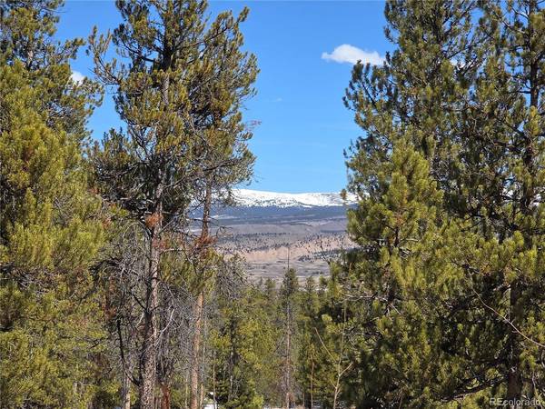 Lots 20 & 29, Twin Lakes, CO 81251
