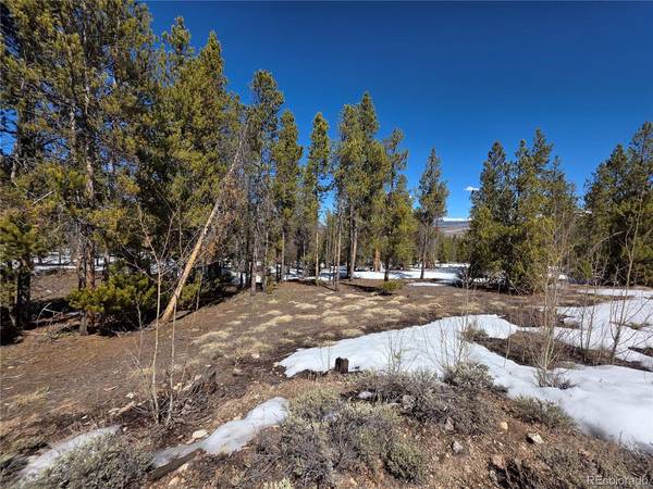 Lots 20 & 29, Twin Lakes, CO 81251