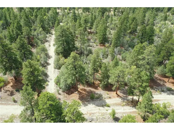 Big Bear, Mosca, CO 81146