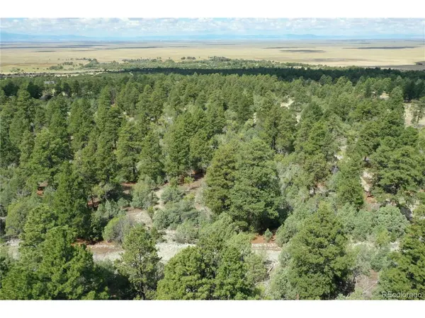 Big Bear, Mosca, CO 81146