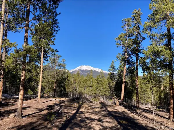758 Spruce, Twin Lakes, CO 80461
